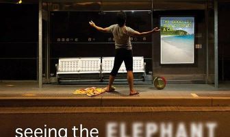 Seeing the Elephant
