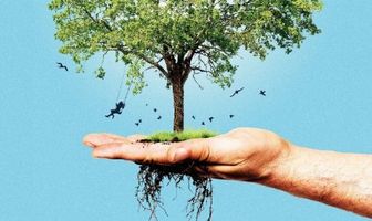 Операция «Дикая природа»