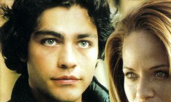 Идеальный вариант