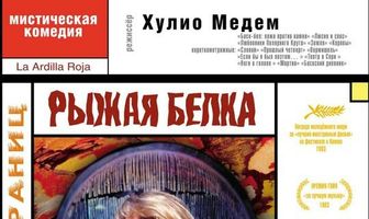 Рыжая белка