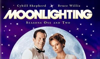 Детективное агентство «Лунный свет»