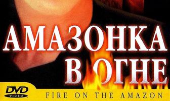 Амазонка в огне
