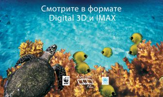 Чудеса океана 3D