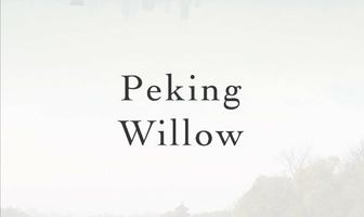 Peking Willow