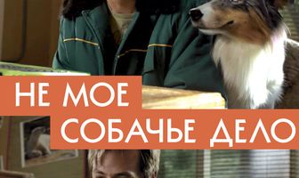 Не моё собачье дело