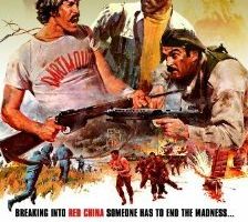 Последняя граната