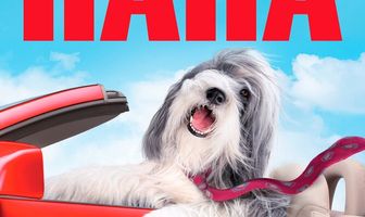 Лохматый папа