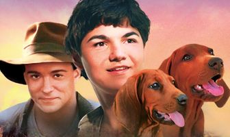 Цветок красного папоротника