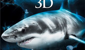 Хищники океанов 3D