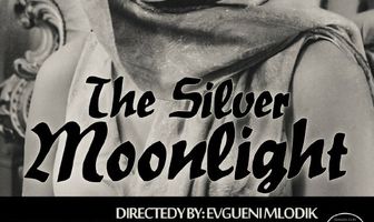 Серебристый свет луны