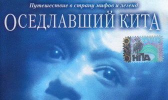 Оседлавший кита