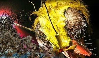 Attack of the Killer Bees