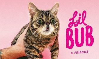 Лил Буб и друзья