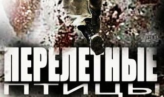 Перелётные птицы