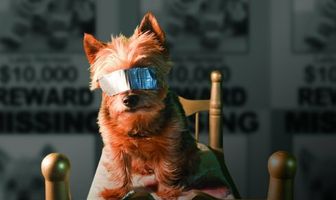 Gone Doggy Gone