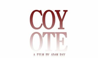 Coyote