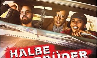 Сводные братья