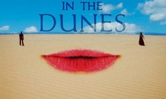 Stranger in the Dunes
