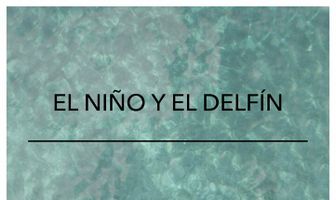 El Niño y El Delfín