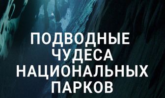 Подводные чудеса национальных парков