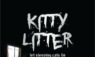 Kitty Litter