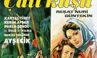 Королек – птичка певчая