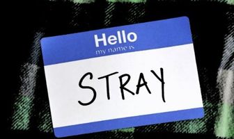 Stray