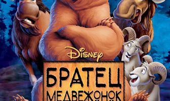 Братец медвежонок