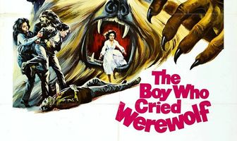 Мальчик, который рассказывал об оборотне