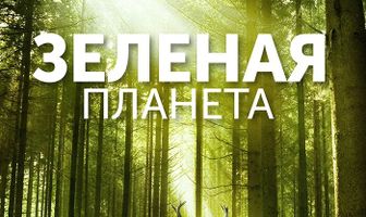 Зеленая планета