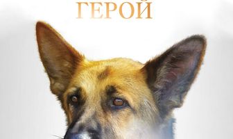 Моя собака — герой