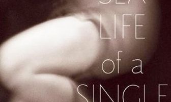 The Secret Sex Life of a Single Mom
