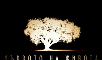 Древо жизни