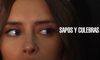 Sapos y culebras