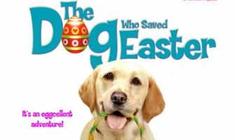 Собака, cпасшая Пасху