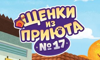 Щенки из приюта № 17