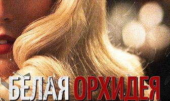 Белая орхидея