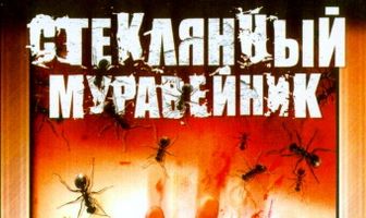 Стеклянный муравейник