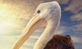 Мой друг мистер Персиваль