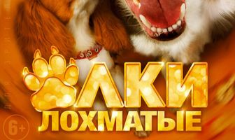 Ёлки лохматые