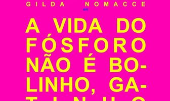 A Vida do Fósforo Não É Bolinho, Gatinho