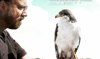 Ястреб умирает