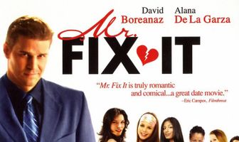 Мистер «Всё исправим»