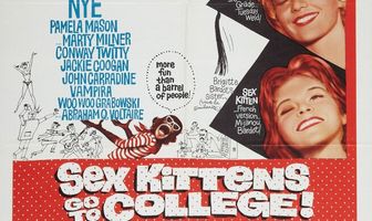 Секс-кошечки идут в школу