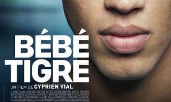 Молодой тигр