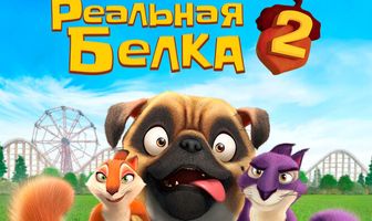 Реальная белка 2