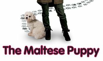Ruby Skye P.I.: The Maltese Puppy