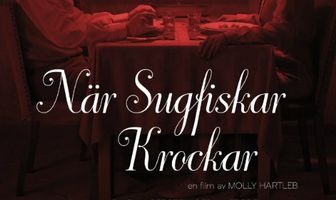 När sugfiskar krockar