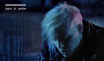 Поэзия в стиле порнопанк