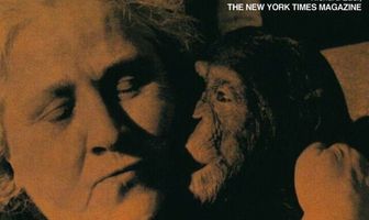 Земля тишины и темноты